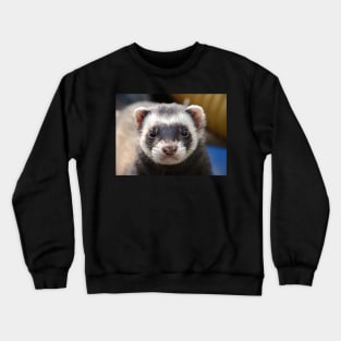 ferret lover, cute ferret, ferret pet, animals- black footed ferret Crewneck Sweatshirt